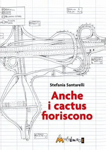 Anche i cactus fioriscono Prezzo Di Fabbrica