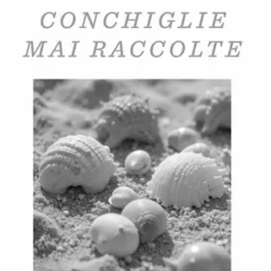 Economico Conchiglie mai raccolte