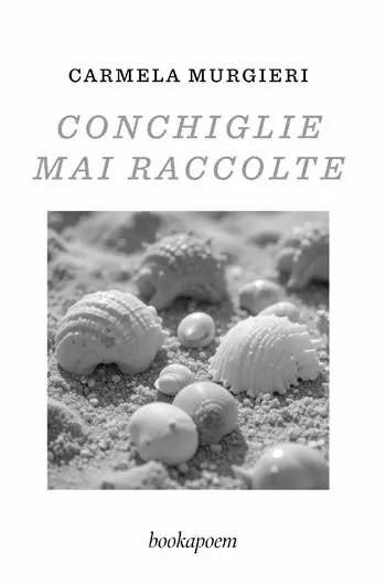 Economico Conchiglie mai raccolte