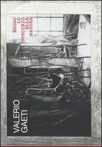 Valerio Gaeti. Reggo lo specchio alla natura. Ediz. illustrata Offerta
