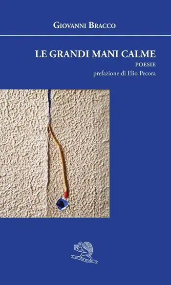 Le grandi mani calme Consegna Rapida