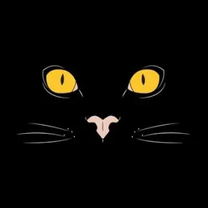Prezzo Conveniente Il libro dei gatti immaginari