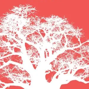 Sufi network. Le confraternite islamiche tra globalizzazione e tradizione Economico