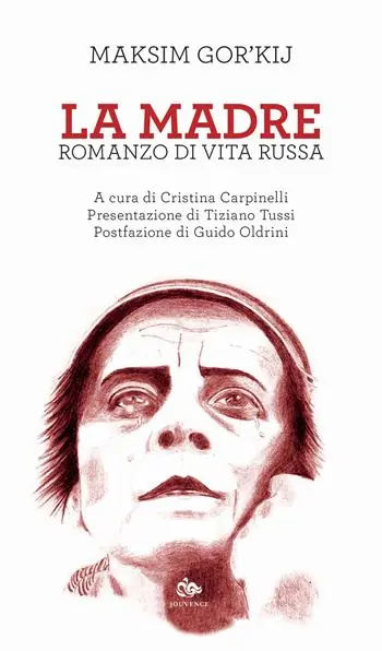 Offerta La madre. Romanzo di vita russa