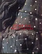 Non Perdere Tecnologia per la cultura. Tecniche di diagnostica avanzata dell‘ENEA per lo studio e la conservazione dei beni culturali. Ediz. illustrata