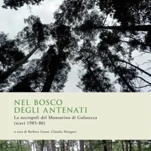 Prezzo Ridotto Nel bosco degli antenati. La necropoli del Monsorino di Golasecca (scavi 1985-86)
