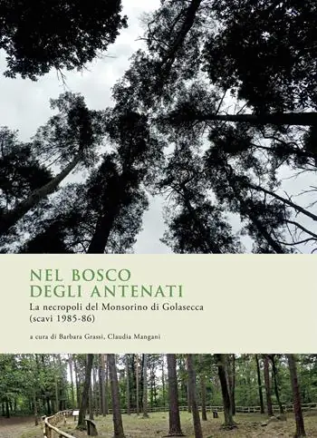 Prezzo Ridotto Nel bosco degli antenati. La necropoli del Monsorino di Golasecca (scavi 1985-86)