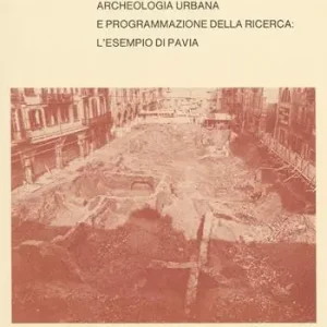Archeologia urbana e programmazione della ricerca. L‘esempio di Pavia Scelto Dai Clienti