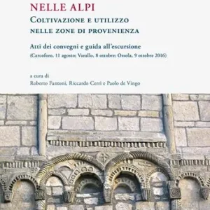 Consegna Rapida La pietra ollare nelle Alpi. Coltivazione e utilizzo nelle zone di provenienza. Atti dei Convegni e guida all’escursione (Carcoforo, 11 agosto-Varallo, 8 ottobre-Ossola, 9 ottobre 2016)