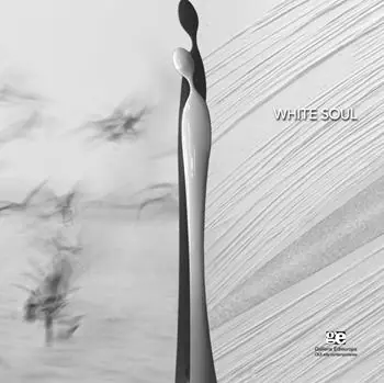 Bestseller White soul. Giovanni Casellato, Mirandolina Di Pietrantonio, Veronica Gaido. Catalogo della mostra (Roma, 18 aprile-14 maggio 2016). Ediz. illustrata