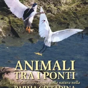 Acquista Ora Animali tra i ponti. Invito all‘osservazione della natura nella Parma cittadina