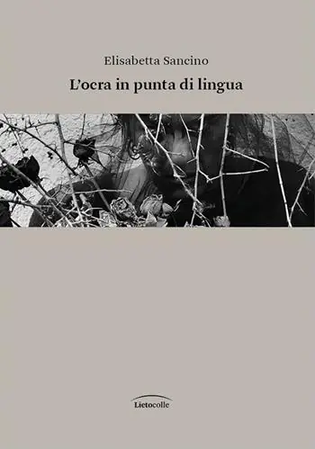 L‘ocra in punta di lingua Offerta Lampo