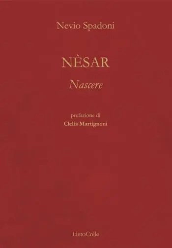 Nèsar Must-Have