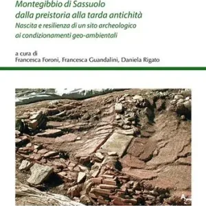 Saldi Montegibbio di Sassuolo dalla preistoria alla tarda antichità. Nascita e resilienza di un sito archeologico ai condizionamenti geo-ambientali