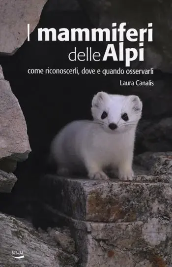 Esclusivo I mammiferi delle Alpi. Come riconoscerli, dove e quando osservarli