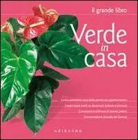 Verde in casa Offerta Limitata