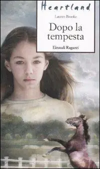 Professionale Dopo la tempesta. Heartland