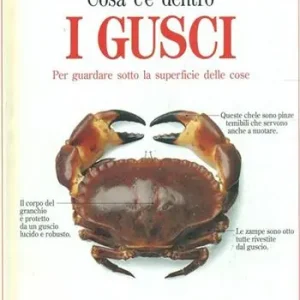 Cosa c‘è dentro i gusci Scelto Dai Clienti