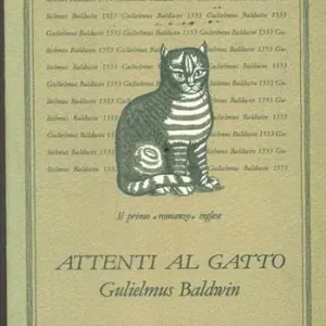 Popolare Attenti al gatto