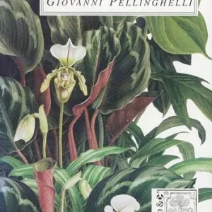 Giardini di parole Più Venduto