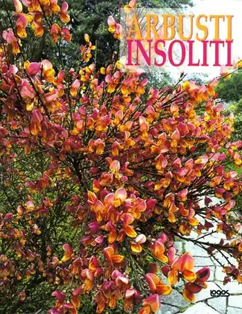 Offerta Limitata Arbusti insoliti. Ediz. illustrata