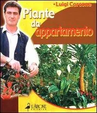 Piante da appartamento Scelto Dai Clienti