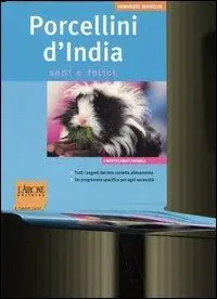 Subito Disponibile Porcellini d‘India. Sani e felici