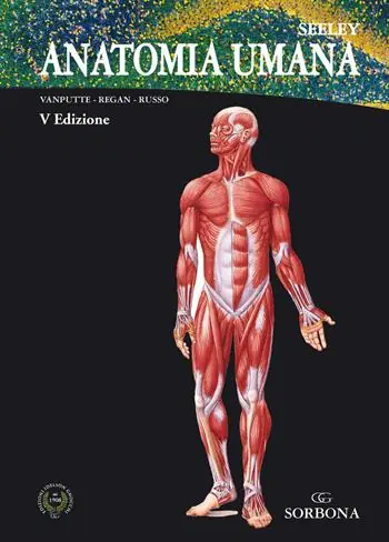 Esclusivo Anatomia umana