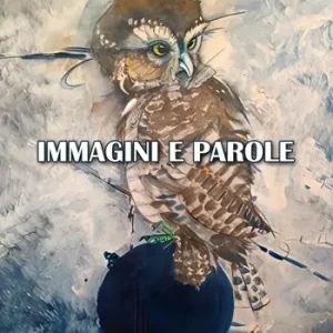 Professionale Immagini e parole. Ediz. deluxe