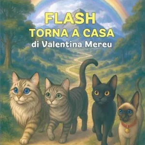 Flash torna a casa. Ediz. illustrata Prezzo Basso