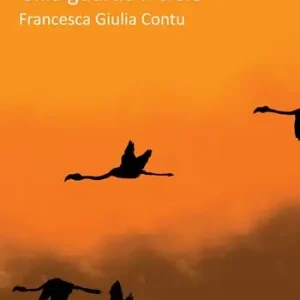 Gilla guarda il cielo Offerta Limitata
