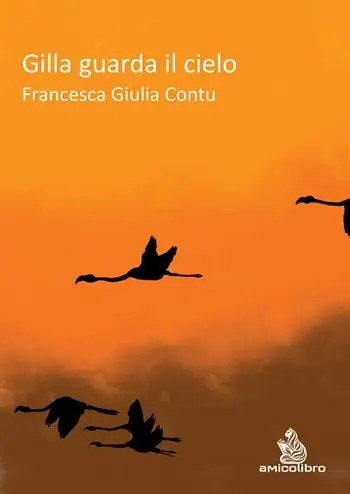Gilla guarda il cielo Offerta Limitata