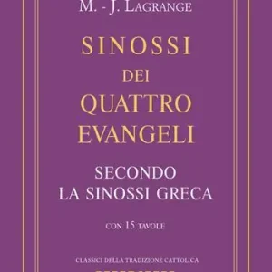Compra Oggi Stesso Sinossi dei quattro Evangeli