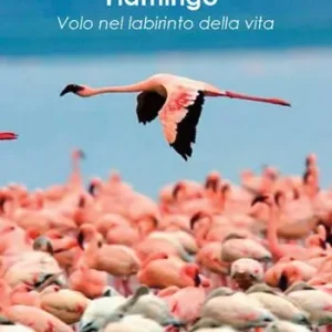 Spedito Oggi Flamingo