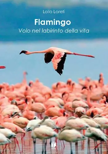 Spedito Oggi Flamingo