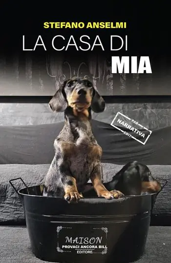Offerta Lampo La casa di Mia