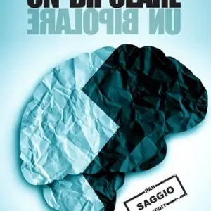 Un bipolare Prezzo Di Fabbrica