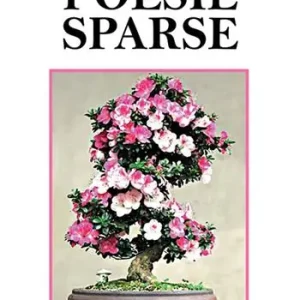 Poesie sparse Spedito Oggi