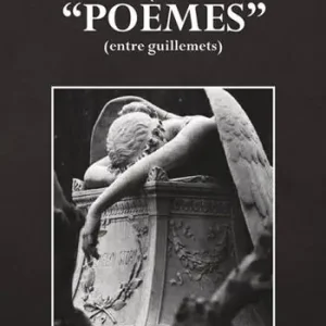 «Poèmes» (entre guillemets) Professionale