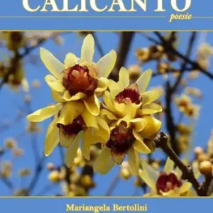 Soddisfatti O Rimborsati Calicanto