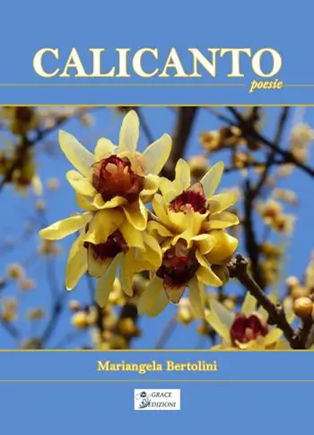 Soddisfatti O Rimborsati Calicanto