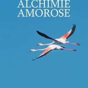 Alchimie amorose Vendita Finale