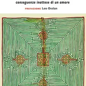 Saldi Il labirinto del sospetto. Conseguenze inattese di un amore