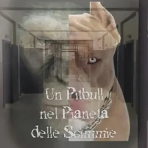 Bestseller Un pitbull nel pianeta delle scimmie