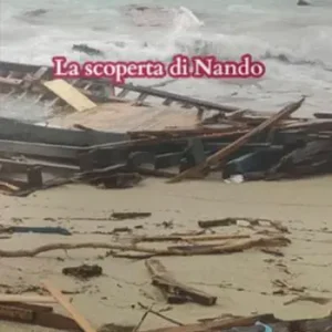 La scoperta di Nando Nuova Collezione