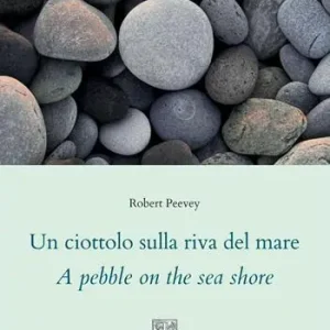 Un ciottolo sulla riva del mare. A pebble on the sea shore. Ediz. multilingue Bestseller