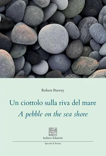 Un ciottolo sulla riva del mare. A pebble on the sea shore. Ediz. multilingue Bestseller