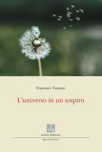 Compra Adesso L‘universo in un sospiro