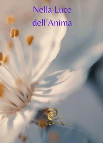 Nella luce dell‘anima Compra Oggi Stesso