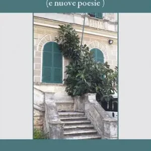 Poesie sparse nel tempo (e nuove poesie). Vol. 2 Direttamente Dal Produttore
